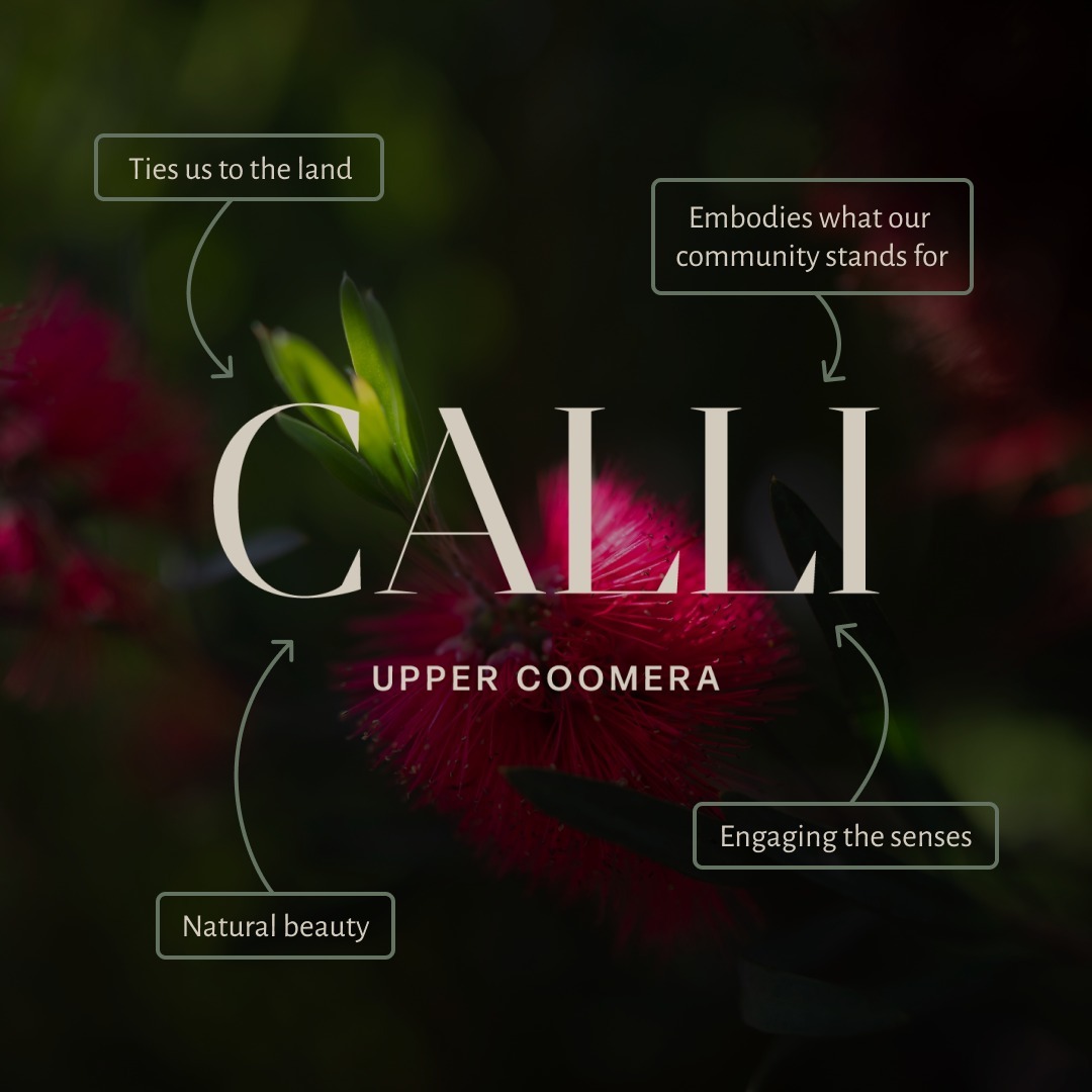 455038278_464403029758500_8342365571489041500_n