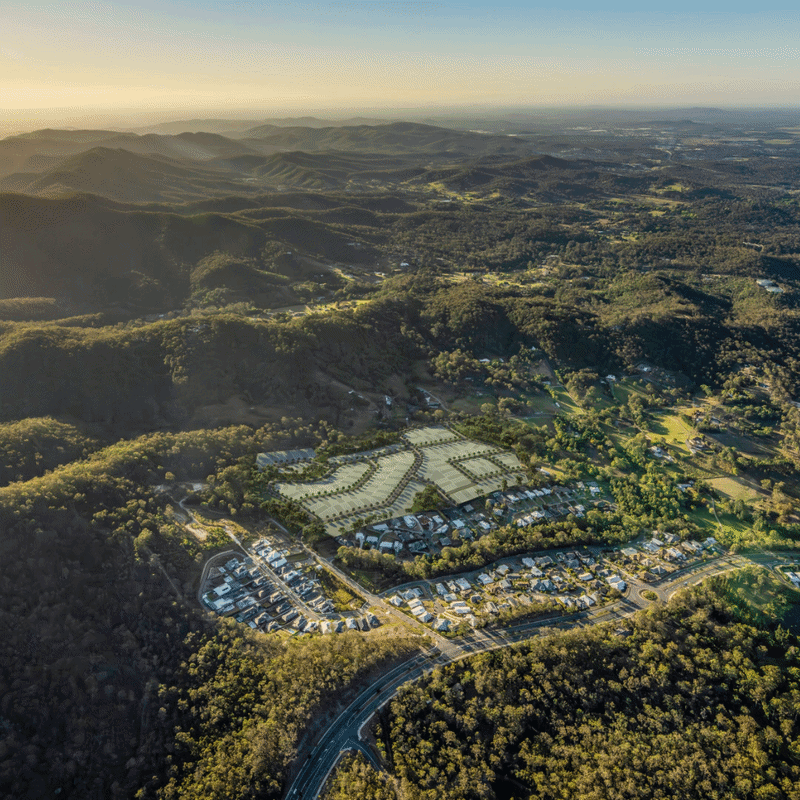 Calli Sold out animation